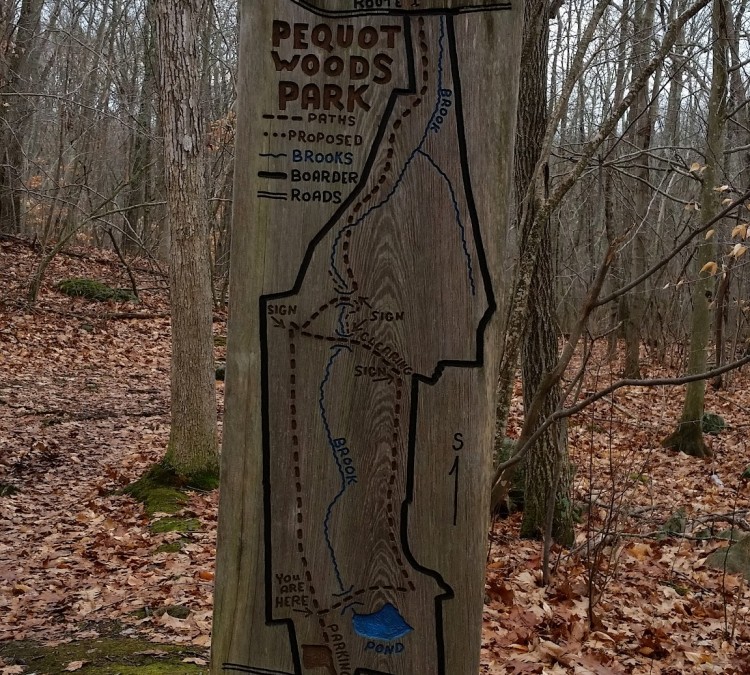 pequot-woods-park-photo